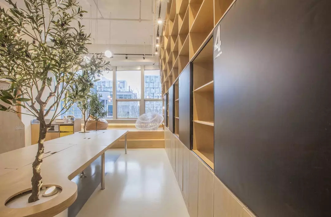 牛在墻上飛，猴子樹梢醉；這是在動物園辦公嗎？